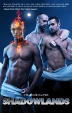 9781615817115 Shadowlands