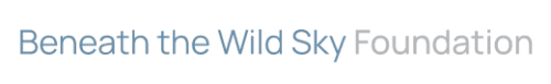 Light blue text reads Beneath the Wild Sky followed by gray text that reads Foundation.